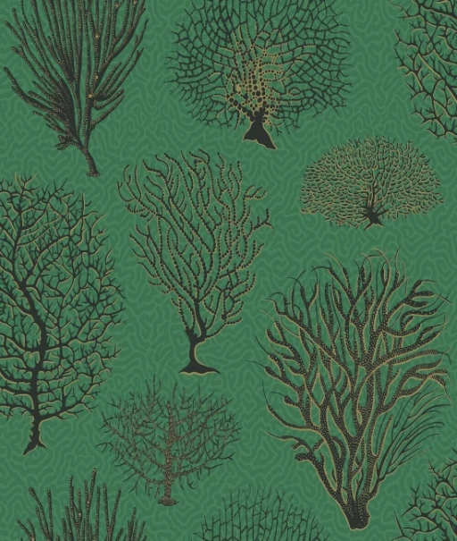 Cole&amp;Son Curio Seafern 107/2007