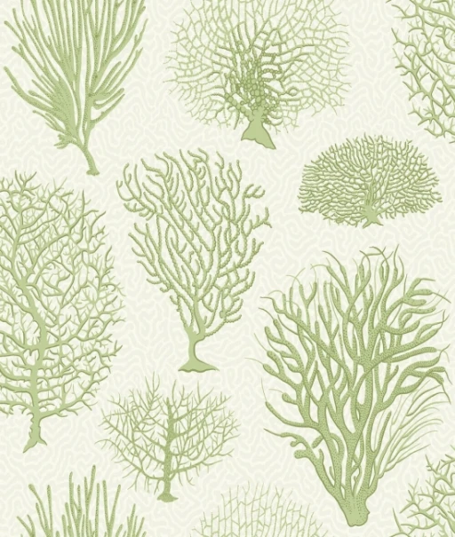 Cole&amp;Son Curio Seafern 107/2008