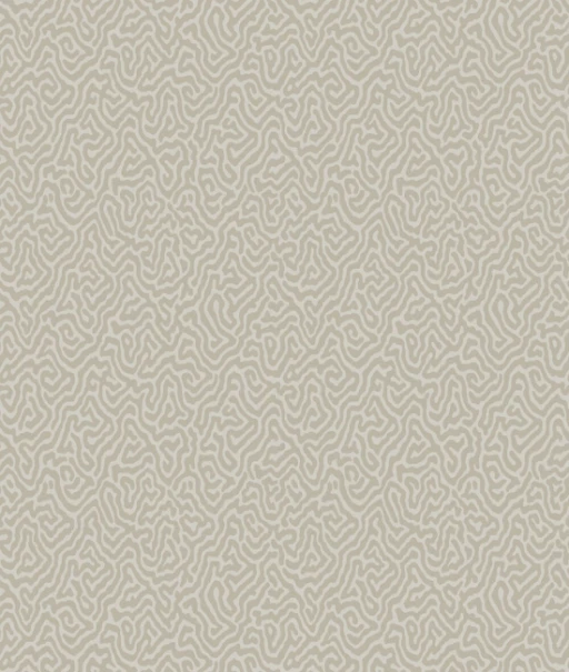 Cole&amp;Son Curio Vermicelli 107/4019