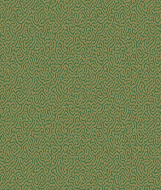 Cole&amp;Son Curio Vermicelli 107/4022