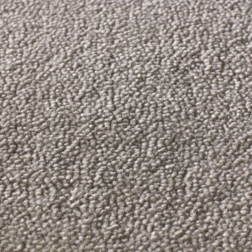 Jacaranda Rajgarh Oatmeal