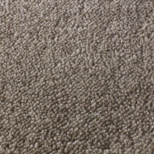 Jacaranda Rajgarh Dappled Brown