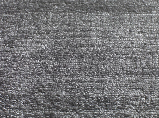 Jacaranda Santushti Fossil