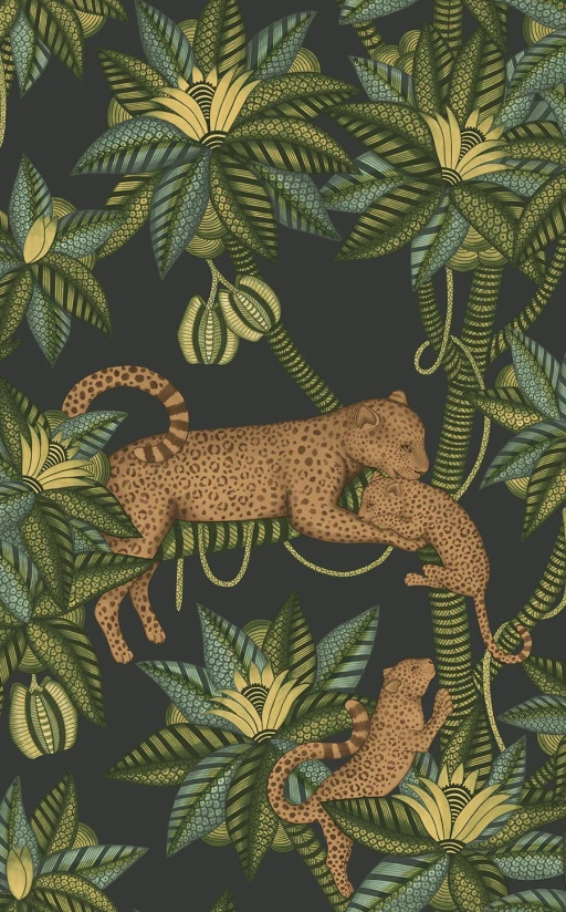 Cole&amp;Son Ardmore Jabula Satara 119/3016