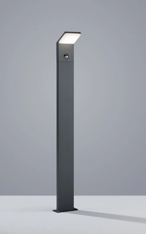 PEARL 421169142