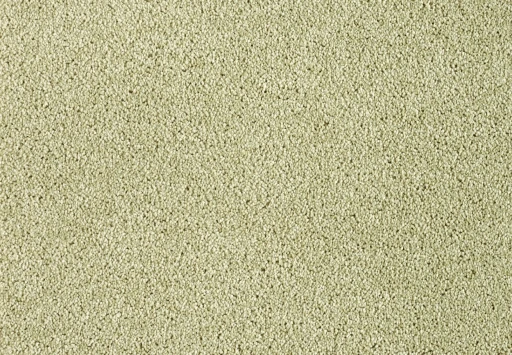 SmartStrand Romance YHO551