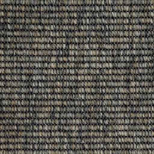 Epic Carpets Blend 2440-510