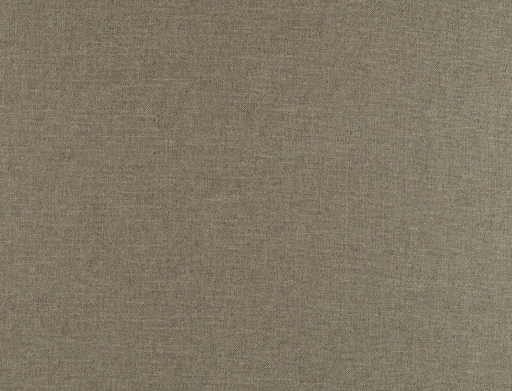 Ridex Aresa 03