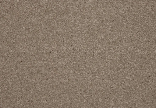 SmartStrand Lounge Sable 430