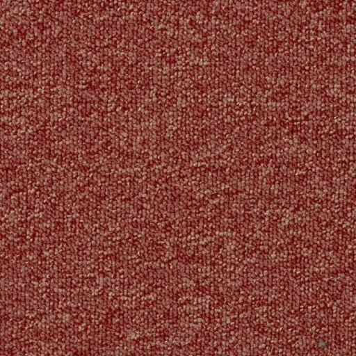 Epic Carpets Duron 121 Coral 1