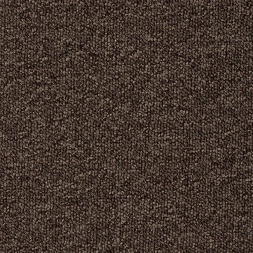 Epic Carpets Duron 400 Coffee