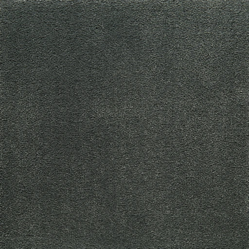 Epic Carpets Lumin 189 Soil