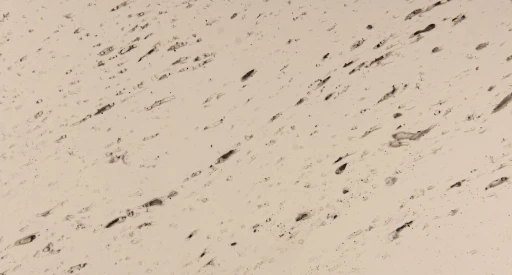 Panele elastyczne Dynamic Decor Naturflex DD15