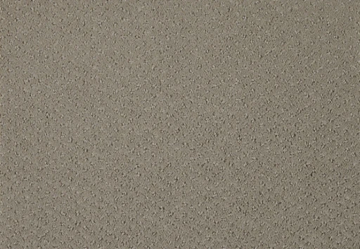Epic Carpets Muld 431 Bamboo Mat 1