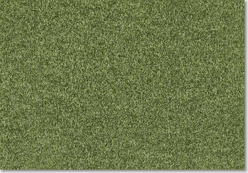 Epic Carpets Empathy 590 Moss